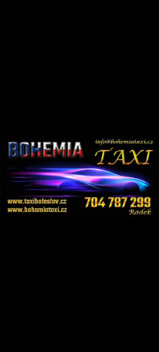 Recenze na Bohemia taxi Mladá Boleslav v Mladá Boleslav - Taxislužba