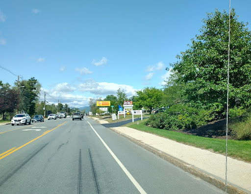 Pet Supply Store «Four Your Paws Only», reviews and photos, 1821 White Mountain Hwy, North Conway, NH 03860, USA