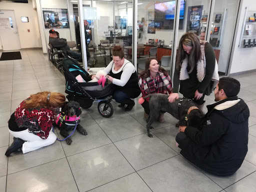 Car Dealer «Lenoir City Chrysler Dodge Jeep Ram», reviews and photos