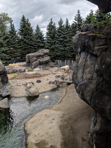 Zoo «Seneca Park Zoo», reviews and photos, 2222 St. Paul Street, Rochester, NY 14621, USA