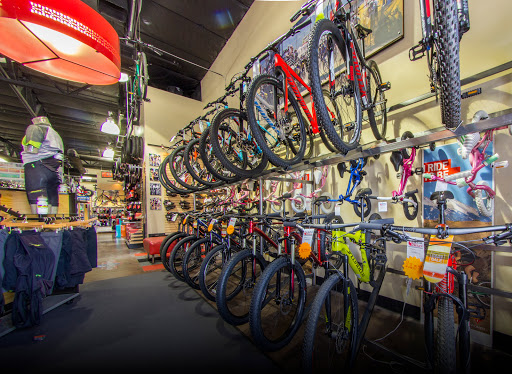 Bicycle Store «Global Bikes - Chandler North», reviews and photos, 2915 W Ray Rd, Chandler, AZ 85224, USA