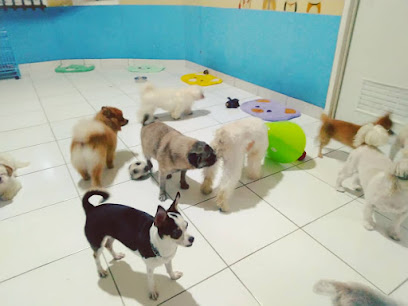DOG Daycare Jakarta