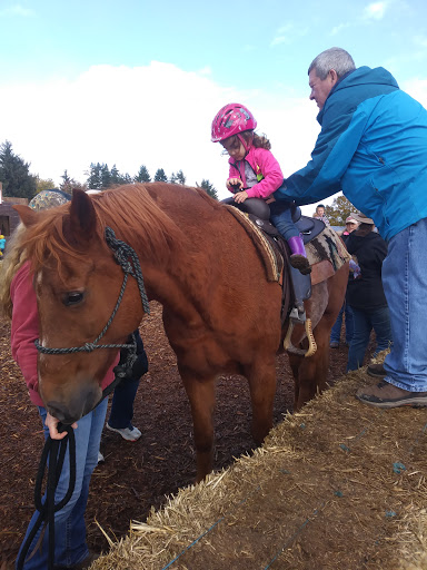 Market «E Z Orchards Farm Market», reviews and photos, 5504 Hazelgreen Rd NE, Salem, OR 97305, USA