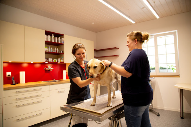 Rezensionen über Tierarztpraxis Scherliau - Dr. med. vet. Verena Völk in Freiburg - Tierarzt