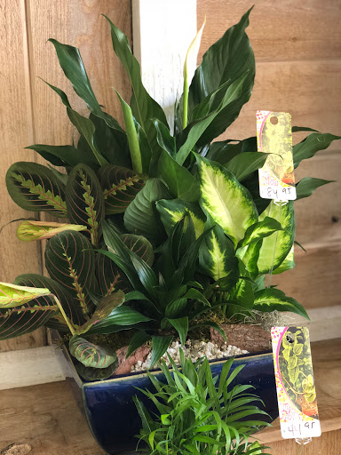 Florist «Driftwood Florist», reviews and photos, 711 W Indiantown Rd, Jupiter, FL 33458, USA