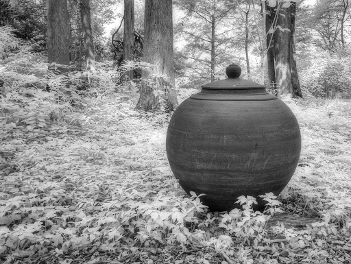 Tourist Attraction «Blithewold Mansion, Gardens & Arboretum», reviews and photos, 101 Ferry Rd, Bristol, RI 02809, USA