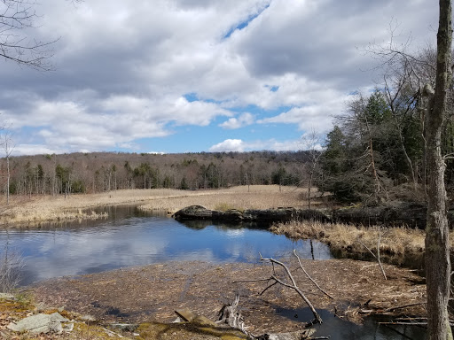 Nature Preserve «John Burroughs Slabsides», reviews and photos, Burroughs Dr, West Park, NY 12493, USA