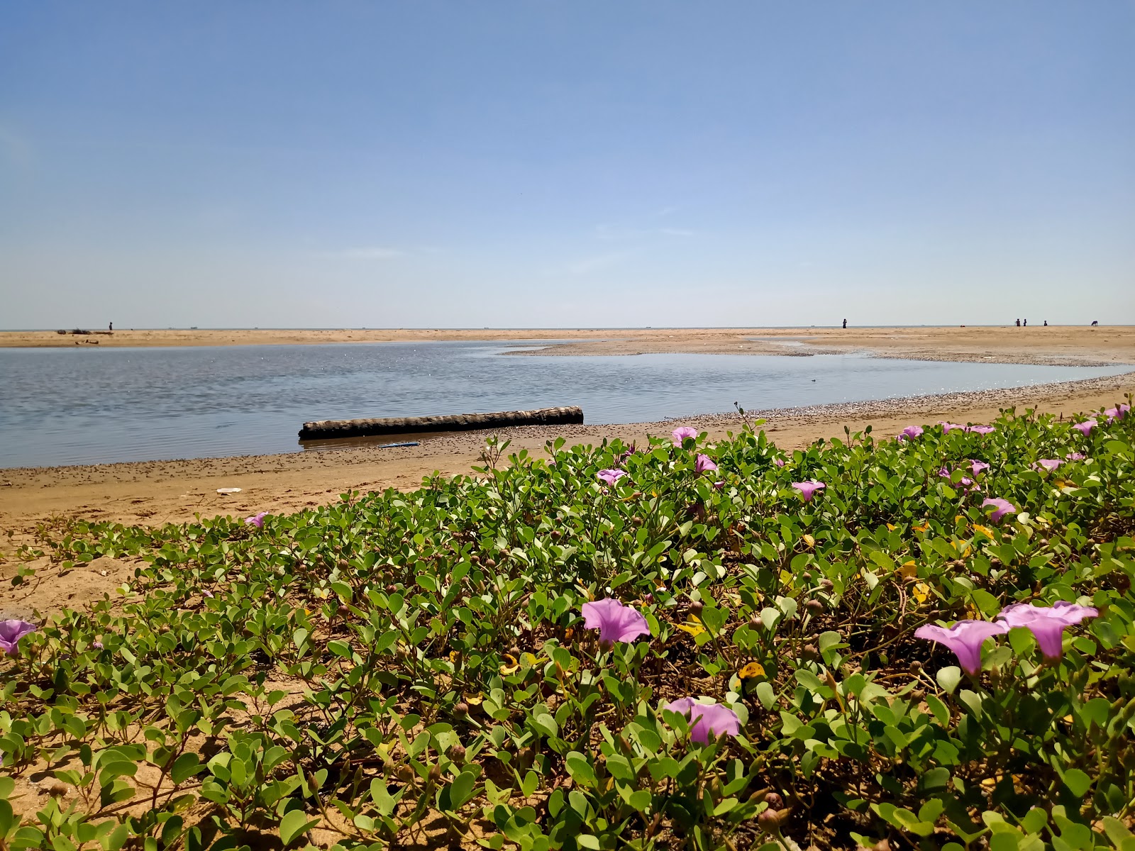 Valokuva Rajamadam Beachista. sisältäen tilava ranta