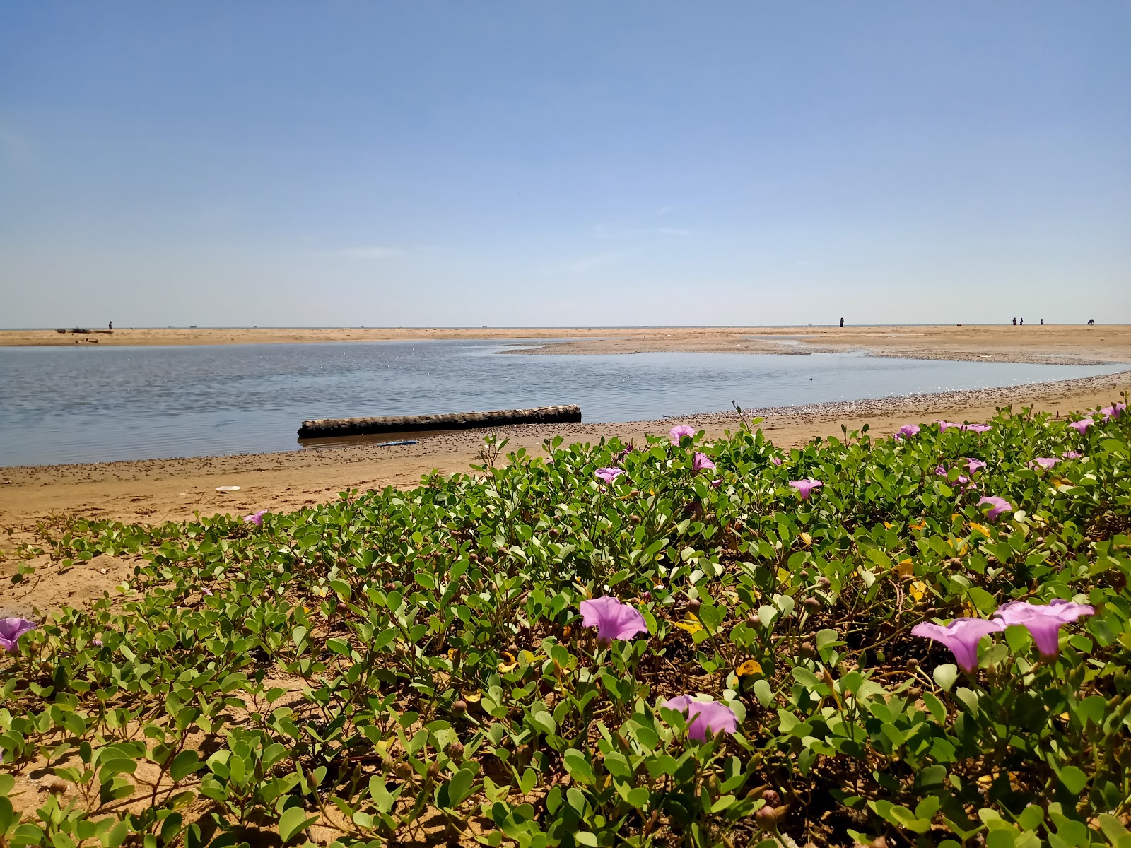 Foto av Rajamadam Beach med hög nivå av renlighet