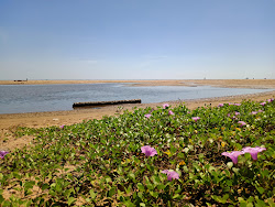 Zdjęcie Rajamadam Beach z przestronna plaża