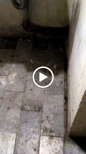 Golf Course «South Gleason Golf Course», reviews and photos, 3400 Jefferson St, Gary, IN 46408, USA