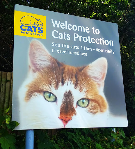 Cats Protection - Isle of Wight Adoption Centre