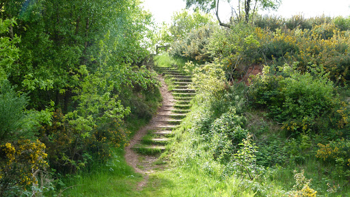 Shire Oak Park LNR