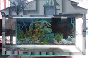 Ankit Aquarium image