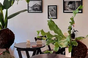 Divino Verde Kokedama e Café image