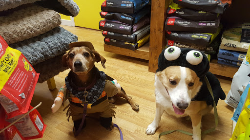 Pet Supply Store «Petagogy», reviews and photos, 5880 Ellsworth Ave, Pittsburgh, PA 15232, USA