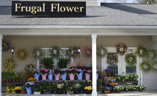 The Frugal Flower, 736 Boston Post Rd, Sudbury, MA 01776, USA, 