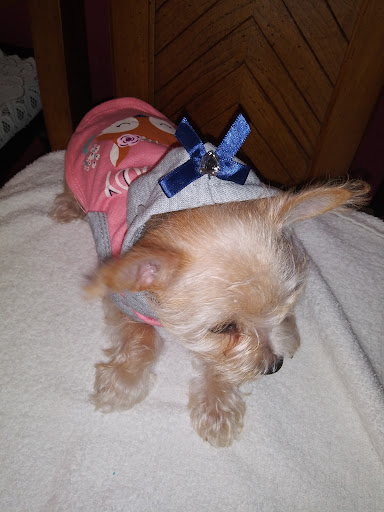 Pet Supply Store «Pet Supplies Plus», reviews and photos, 803 Hillcrest Rd, Mobile, AL 36695, USA