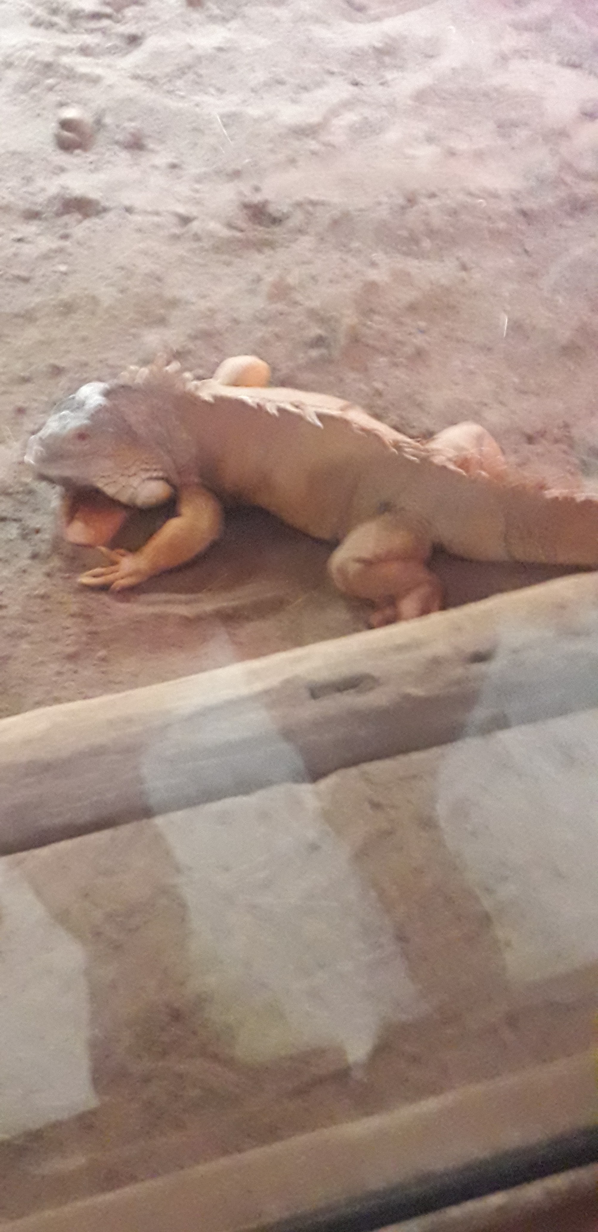 Photo n° 3 de l'avis de Nelly.n fait le 05/06/2022 à 19:16