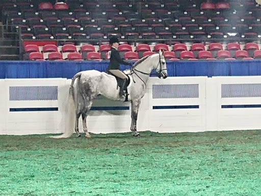 Arena «Freedom Hall», reviews and photos, 937 Phillips Ln, Louisville, KY 40209, USA