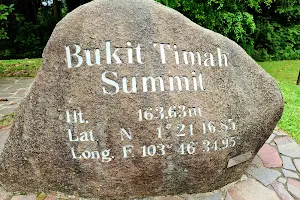 Bukit Timah Summit image