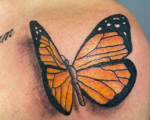 Explore sleeve ideas tattoo, creative tattoo ideas in Denver, available at Dreamscape Piercing and Tattoo LLC