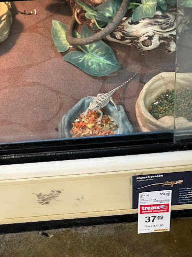 Pet Supply Store «PetSmart», reviews and photos, 2135 NJ-38 Ste B, Cherry Hill, NJ 08002, USA