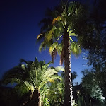 Photo n°1 de l'avis de maria.r fait le 25/06/2021 à 17:51 sur le  Hotel Palme Gemelle à Vieste