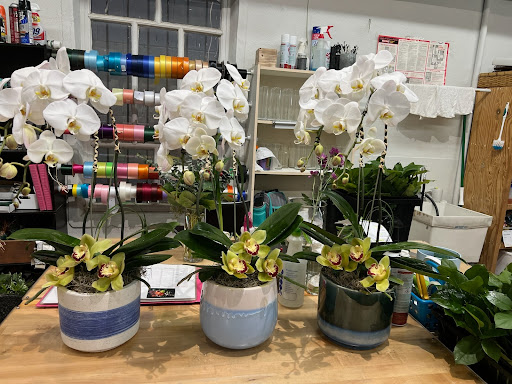 Florist «Enchanted Florist», reviews and photos, 1616 Lavaca St, Austin, TX 78701, USA