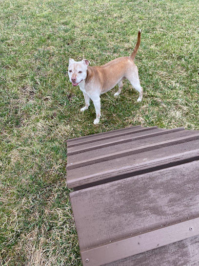 Finger Lakes Dog Park