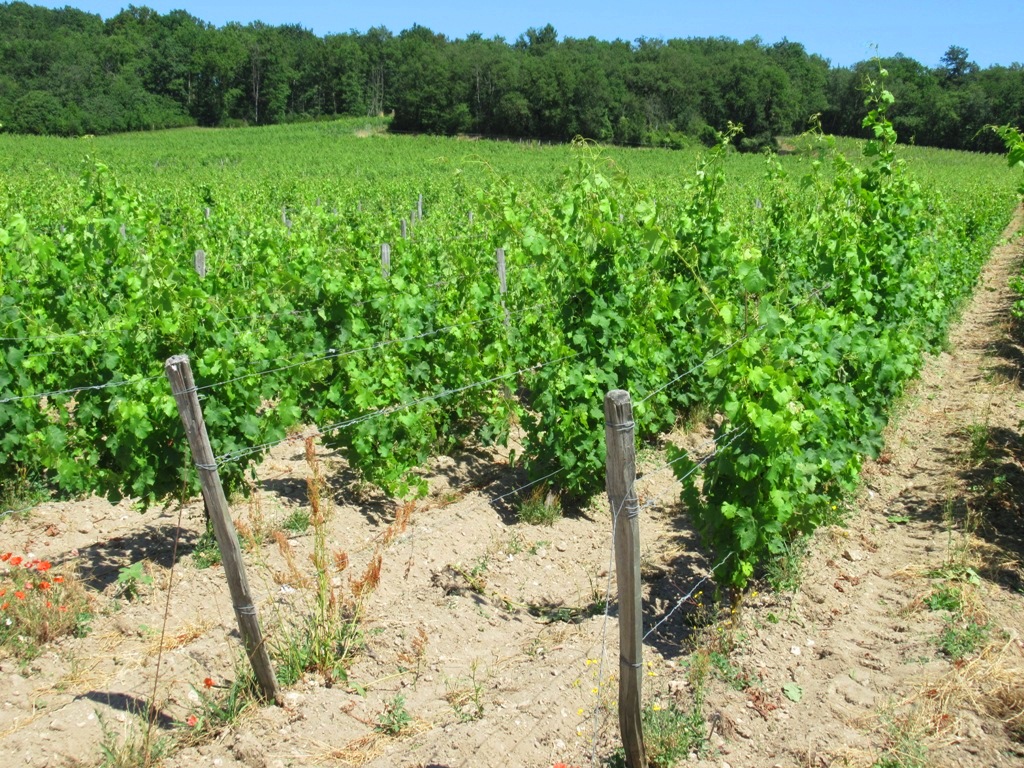 Photo n° 4 de l'avis de Pedro.e fait le 05/08/2019 à 14:02