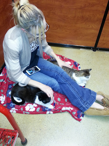 Pet Supply Store «PetSmart», reviews and photos, 181 Wilson Ave, Hanover, PA 17331, USA