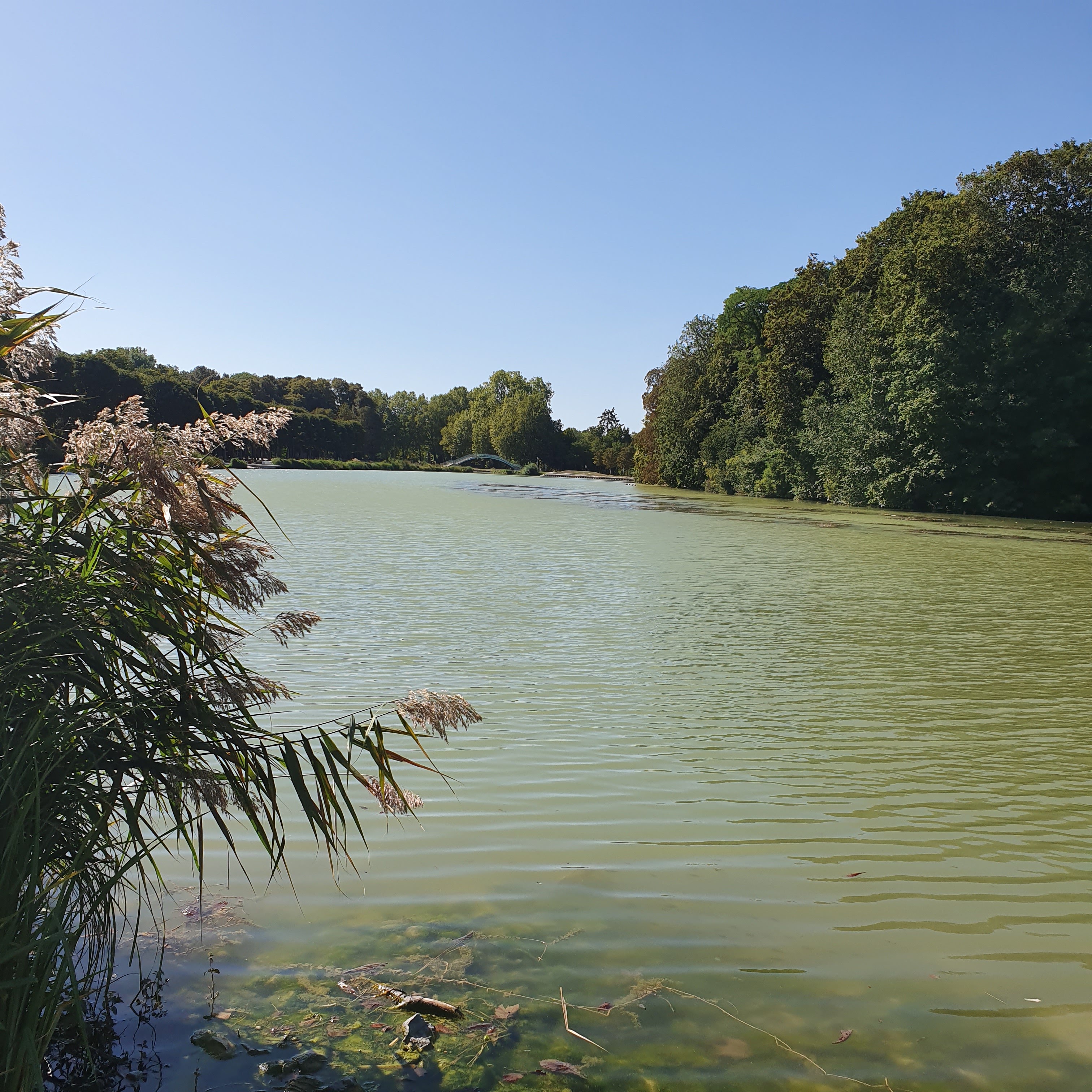 Photo n° 1 de l'avis de Vali.u fait le 05/09/2019 à 07:48