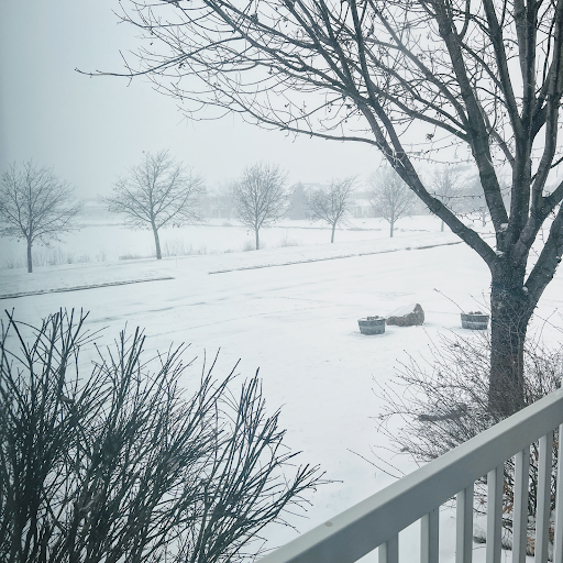 Explore tweety bird tattoo ideas, creative tattoo ideas in Johnston, available at Brows & Body