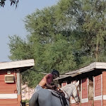 Photo n°1 de l'avis de Ruggero.e fait le 29/07/2021 à 19:31 sur le  Agriturismo Hornos à Marcelli