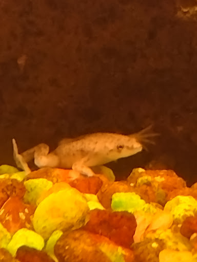 Pet Store «G & M Pet & Garden Center Inc», reviews and photos, 2014 N Walnut St, Muncie, IN 47303, USA