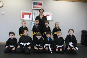 Unified Martial Arts Academy image