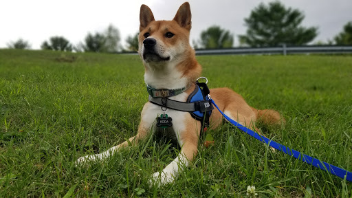 Pet Supply Store «Pet Supplies Plus», reviews and photos, 555 Scott St, Wilkes-Barre, PA 18702, USA