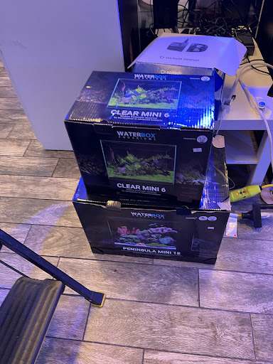 Pet Store «Sea King Aquariums», reviews and photos, 12005 NE 12th St #29, Bellevue, WA 98005, USA