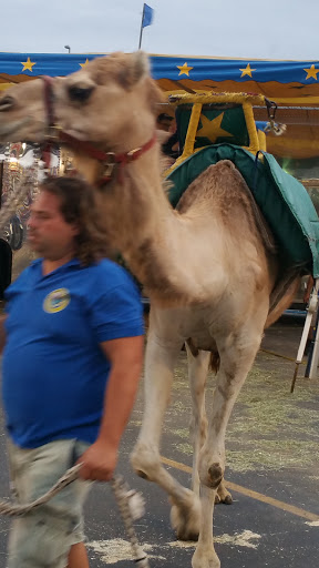 Sports Complex «Meadowlands Sports Complex», reviews and photos, 50 NJ-120, East Rutherford, NJ 07073, USA