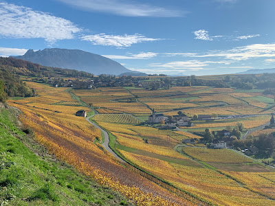 Domaine Carrel François et Fils à Jongieux
