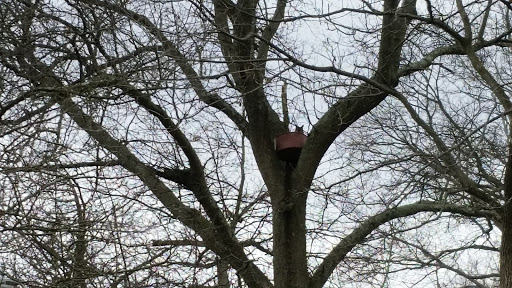 Park «Rapid Run Park», reviews and photos, 4450 Rapid Run Rd, Cincinnati, OH 45205, USA