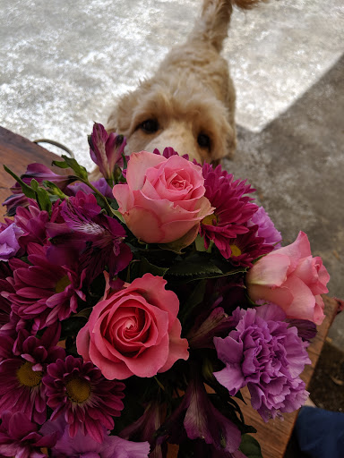 Florist «Hagan Florists & Gifts», reviews and photos, 12501 San Jose Blvd, Jacksonville, FL 32223, USA