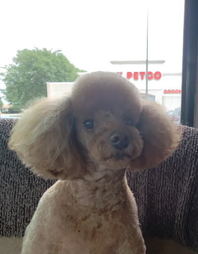 Pet Supply Store «Petco Animal Supplies», reviews and photos, 1111 S Main St #100, Bowling Green, OH 43402, USA