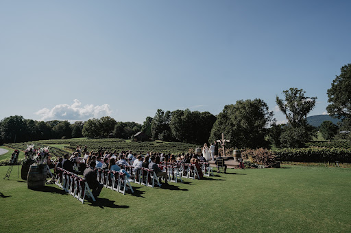 Winery «CeNita Vineyards, Winery & Tasting Room», reviews and photos, 591 Dock Dorsey Rd, Cleveland, GA 30528, USA