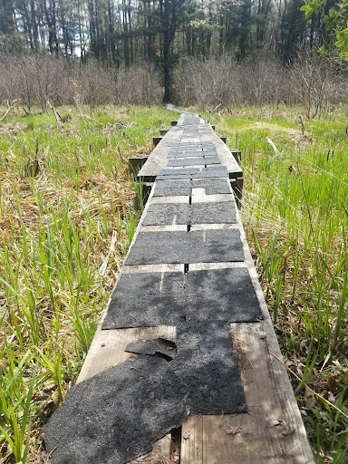 Nature Preserve «Beaver Meadow Audubon Center», reviews and photos, 1610 Welch Rd, Java Center, NY 14082, USA