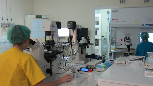 Clinicas para donar ovulos en Sevilla