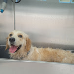 Photo n° 3 de l'avis de An.n fait le 08/08/2023 à 17:43 pour Instant Animal Solesmes - Animalerie à Solesmes