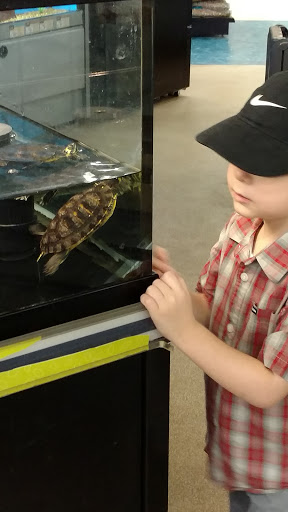 Pet Supply Store «Petco Animal Supplies», reviews and photos, 3055 Columbia Blvd #117, Titusville, FL 32780, USA