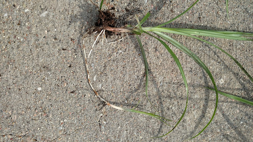 Community Center «Pipal Park Community Center», reviews and photos, 7770 Hascall St, Omaha, NE 68124, USA